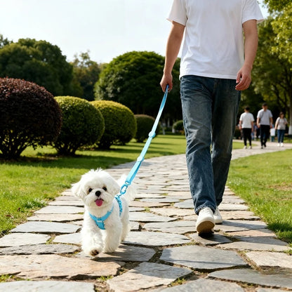 Reflective Dog Harness Set - Snibble Pets