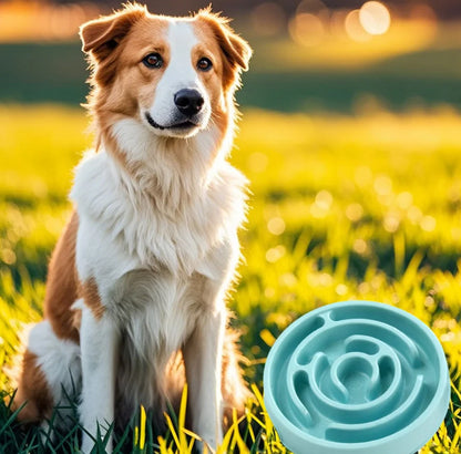 Slow Feeder Dog Bowl - Snibble Pets