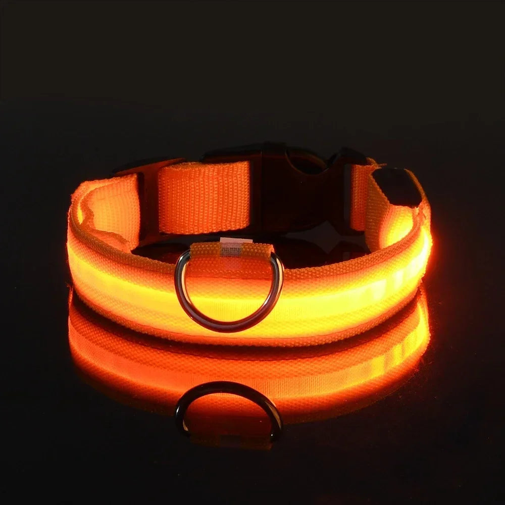 LED Safety Dog Collar - Snibble Pets