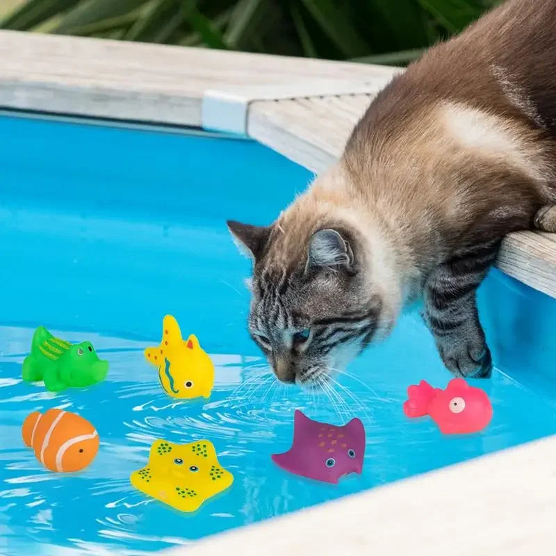 Pet Splash Pool Toy - Snibble Pets