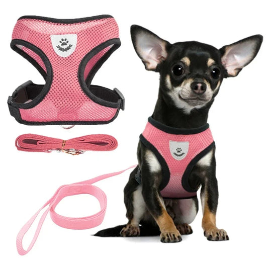 Mesh Dog Harness Leash Set - Snibble Pets
