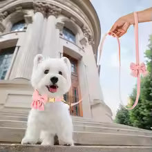 No Pull Dog Harness Set - Snibble Pets
